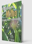 Ecofisiologia do Milho: visando altas produtividades
