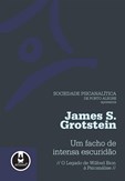 Um facho de intensa escuridão, O legado de Wilfred Bion à psicanálise