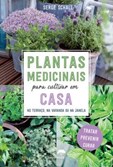 Plantas Medicinais para Cultivar em Casa - No terraço, na varanda ou na janela